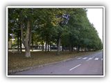 aland39