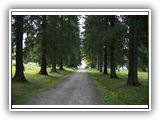 new_valaam16