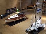 kotka_002