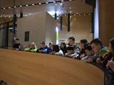 kotka_003