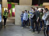 kotka_006