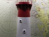kotka_018
