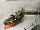 kotka_028
