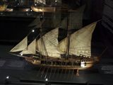 kotka_029