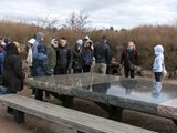 kotka_047