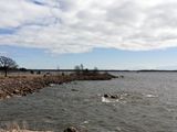 kotka_048