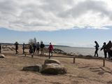 kotka_049