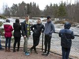 kotka_057