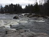 kotka_058